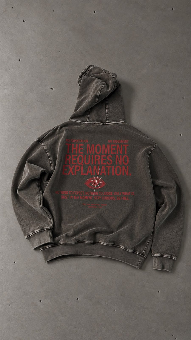 hoodie no explanation gray