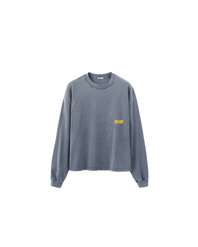 Longsleeve TSCS grey/yellow