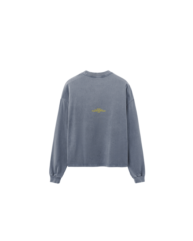 Longsleeve TSCS grey/yellow