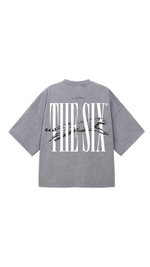 The Six Snow leopard* grey