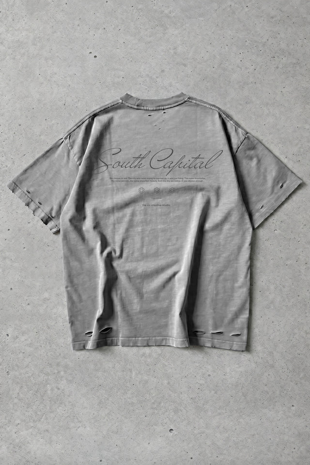 south capital*** gray